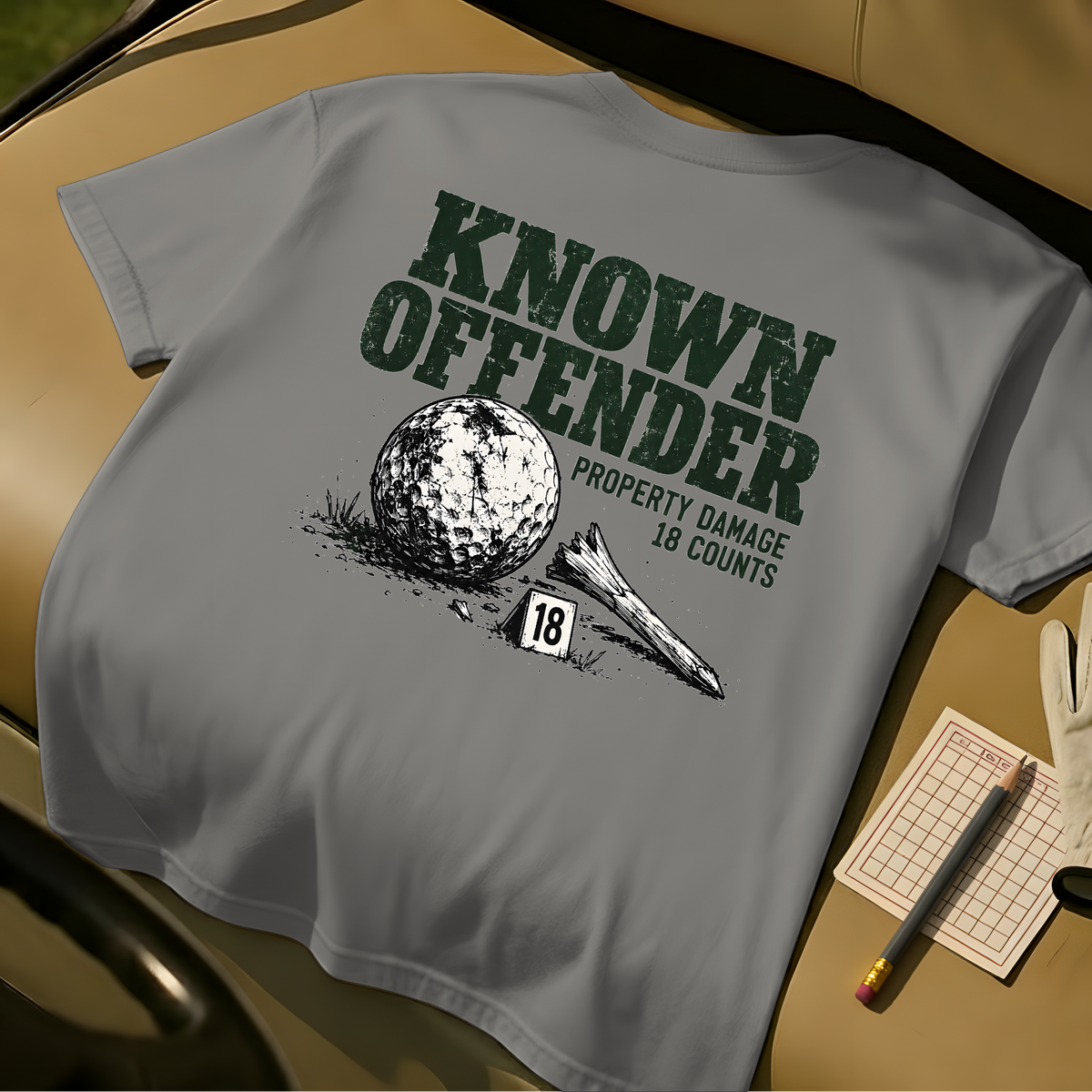 Known Offender T-Shirt - Grey